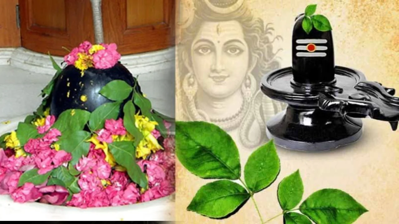 bilva-patra-do-puja-with-these-leaves-lord-shiva-will-give-blessings