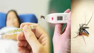 Dengue Fever: 5 Effective Home Remedies For Dengue Fever You Must Try