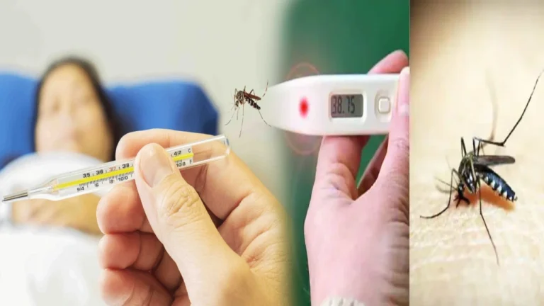 Dengue Fever: 5 Effective Home Remedies For Dengue Fever You Must Try