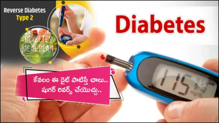 Diabetes Reverse Diet Plan _ The Best Indian Diabetes Diet Plan to Control Blood Sugar in Telugu