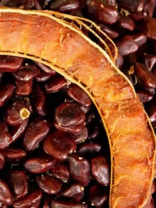 https___tufan9.com_health_tamarind-seeds-benefits-for-knee-pains-in-telugu.html (3)