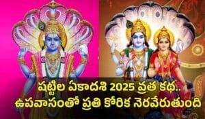 shattila ekadashi vrat katha