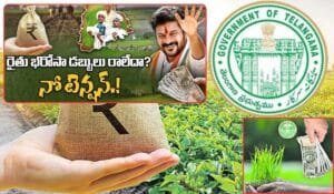 Rythu Bharosa Money Released to farmers accounts telugu