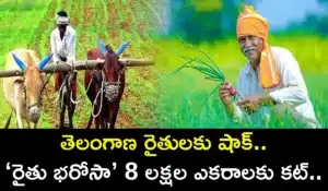 Telangana Government omits 8 lakh acres from Rythu Bharosa list