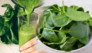 Spinach Health Benefits in Telugu