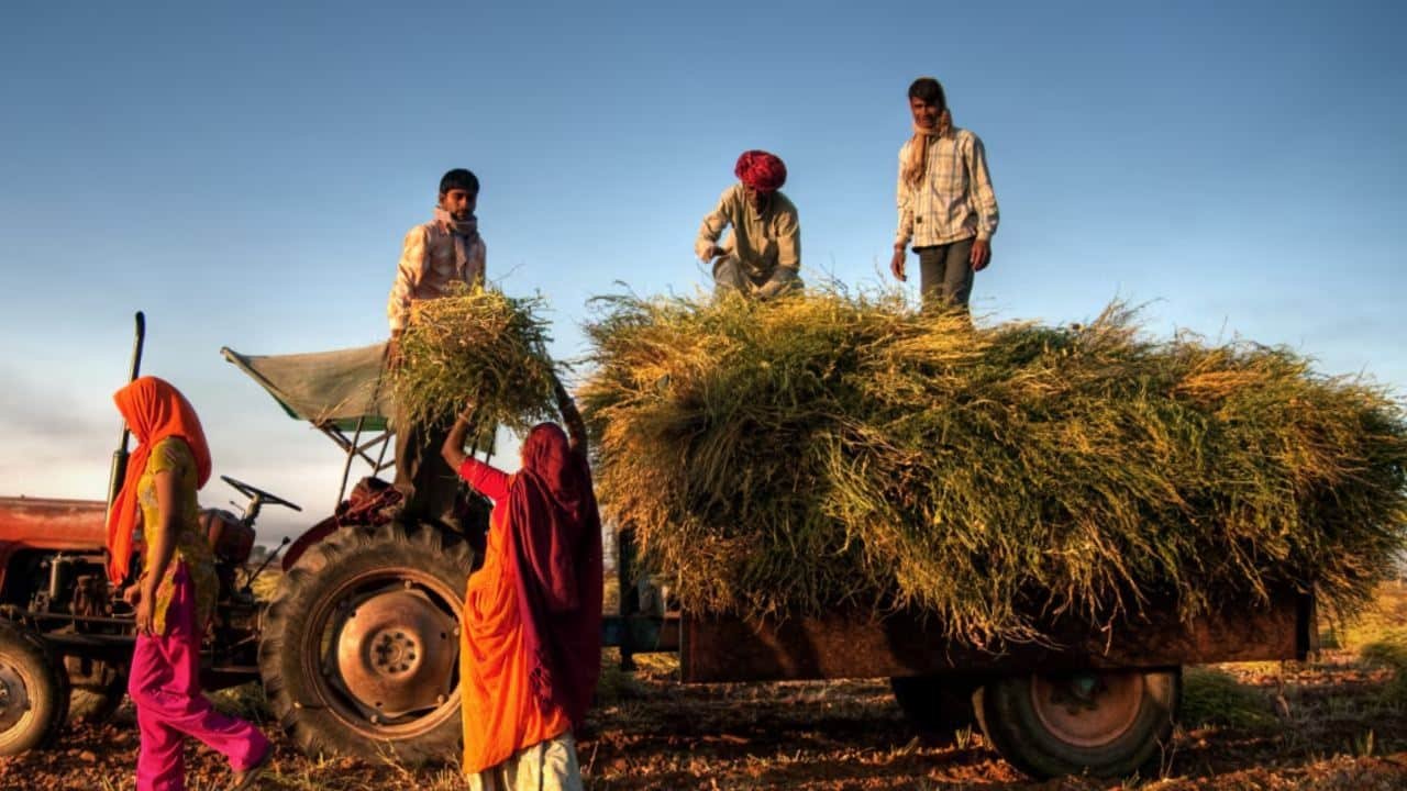 How the e-NAM App Lets You Sell Your Crops Online at Top Prices How the e-NAM App Lets You Sell Your Crops Online at Top Prices