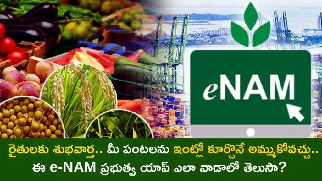 How the e-NAM App Lets You Sell Your Crops Online at Top Prices