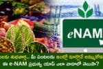 How the e-NAM App Lets You Sell Your Crops Online at Top Prices