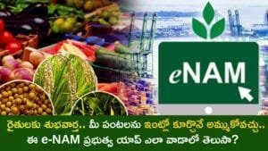 How the e-NAM App Lets You Sell Your Crops Online at Top Prices