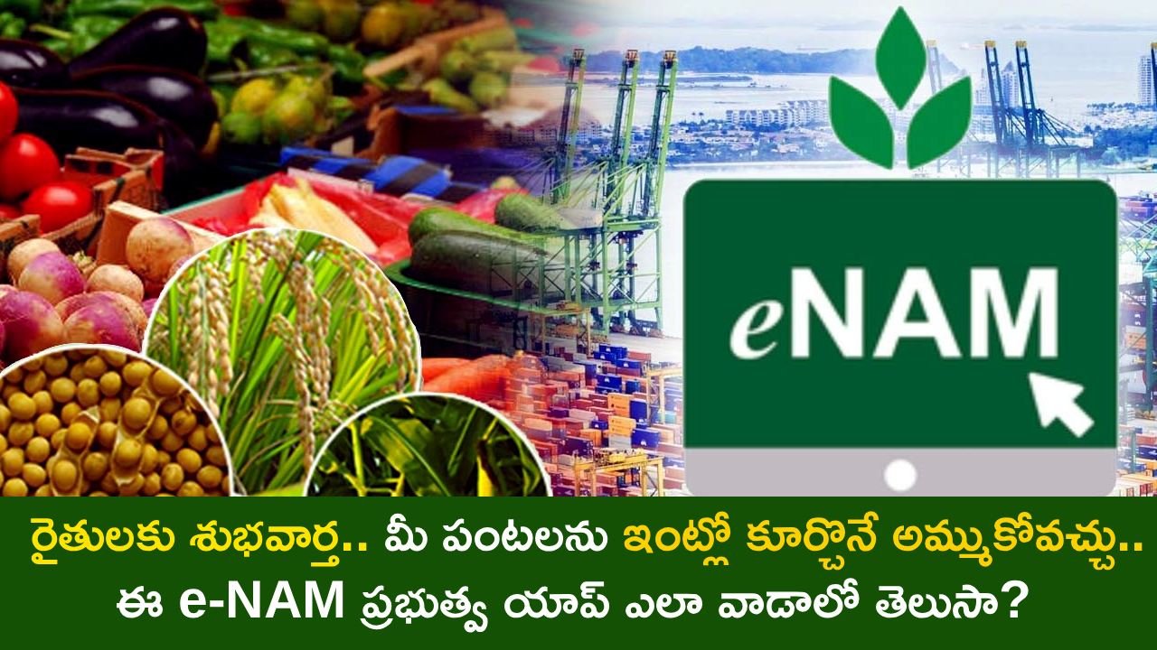 How the e-NAM App Lets You Sell Your Crops Online at Top Prices