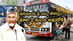 Men Free Bus Scheme