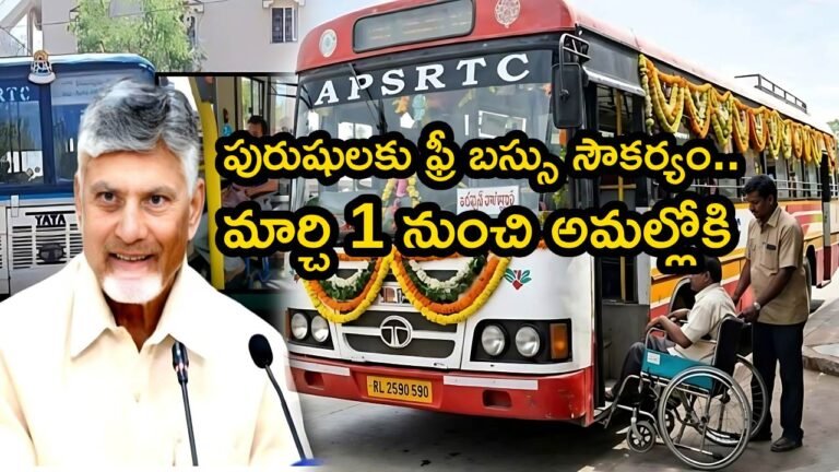 Men Free Bus Scheme