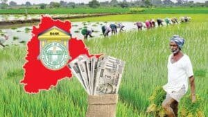 Big Relief for Telangana Jowar Farmers: Rs 994 Crore Released Directly to Farmers
